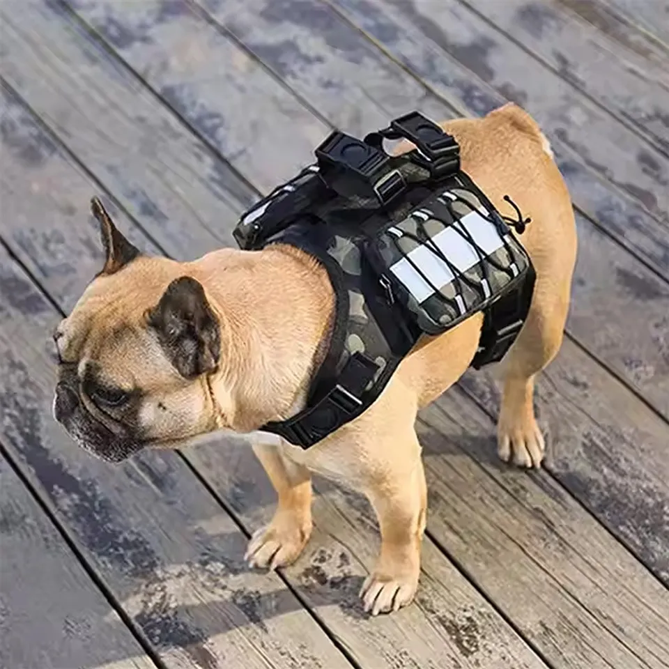 Aub lub sam xauv nees nrog lub eeb nees