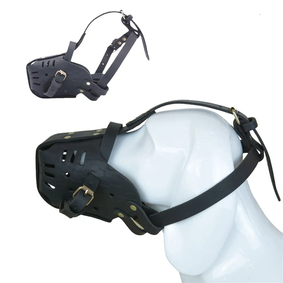 Tus Tswv Yug Yaj German yog tawv