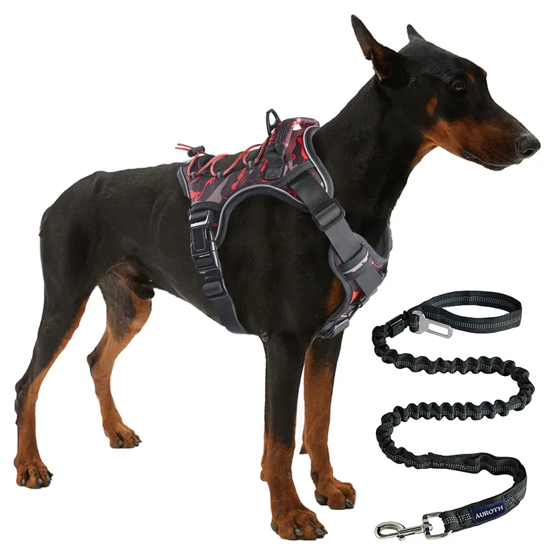 Hollowed-out Dog Harness nrog Dog Leash