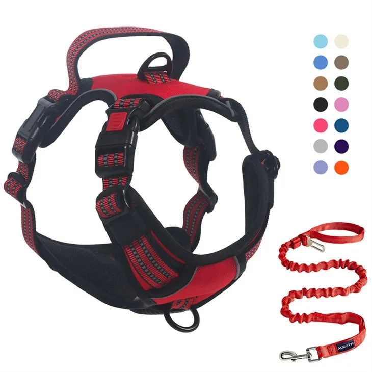 Basic Safety Design Loj Aub Khawm Nrog Dog Leash