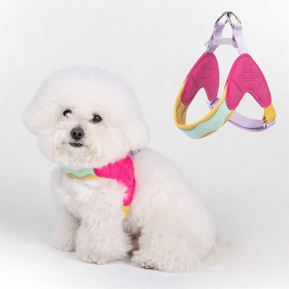 Menyuam dev ua rau cov dev me me